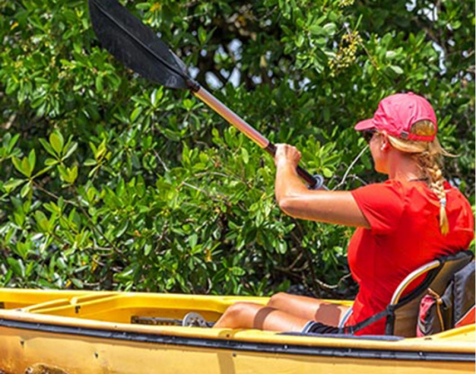 Kayak 910x1155